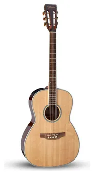 Takamine Gy51E Natural