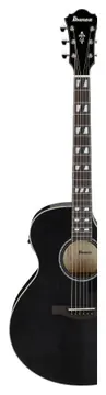 Ibanez AE170TBK Transparent Black