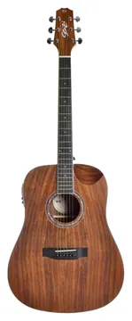Seizi Akira Half Cutaway Cordas de Aço