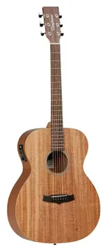 Tanglewood TW2-E acoustic
