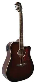 Tanglewood Winterleaf Electro Acoustic Guitar