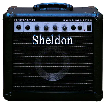 Sheldon Amplificador De Contrabaixo Sheldon BSS300 30 W RMS Preto