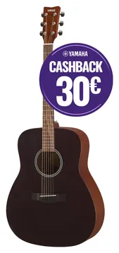 Yamaha F400 Rookzwart