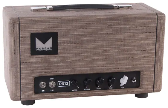 Morgan Amplification PR12 Head Driftwood