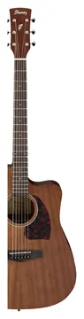Ibanez PF12MHCE Open Pore Natural