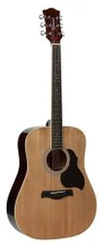 Richwood Artist Series Acoustic Guitar RD-12 Natural