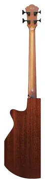 Ibanez Akustik Bass AEGB24EMHS