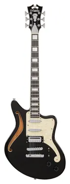 D'Angelico Premier Bedford SH Blake Flake