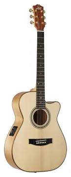 Maton EBG808C MIC FIX