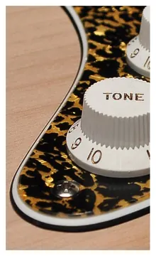 Boston SL-313-RP pickguard