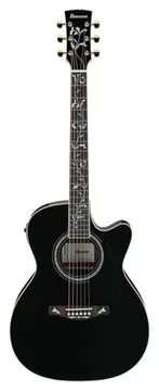 Ibanez AC391RCE-BKH