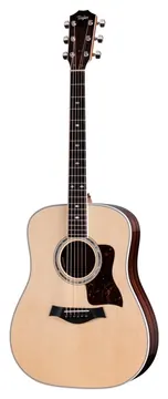 Taylor Legacy 810e