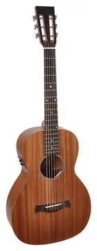 Richwood P50E Parlor Model Western Gitaar met element