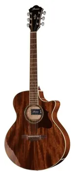 Ibanez AE245-NT