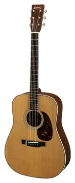 Eastman E8D-TC