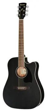 Ibanez PF16MWCE WBK