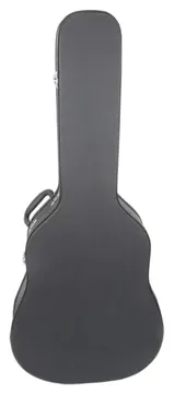 Acoustic Guitar Case