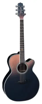 Takamine LTD2024 CTF2N Com Semi Case