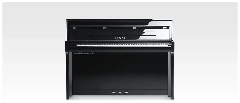 Kawai Novus NV-5S PE