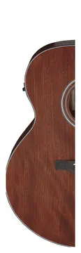 Ibanez AJ54E AJ Series Open Pore Natural