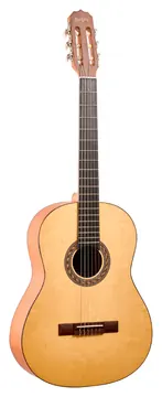 Rozini RX209 João Clássico Nylon Acústico - Natural Fosco
