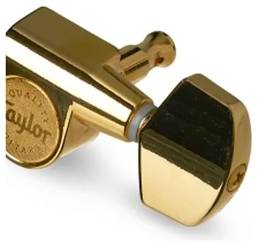 Taylor 181PG Polished Gold stemmechanieken