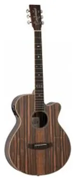 Tanglewood TRU4CEAE Serie Reunion Pro