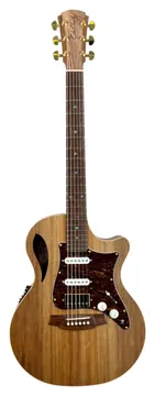 Cole Clark Tl2Ec-Blbl-Hss Etui