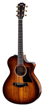Taylor 222CE Koa Deluxe Westerngitaar met Element inclusief Gigbag
