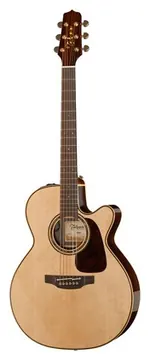 Takamine P5NC w/Softcase