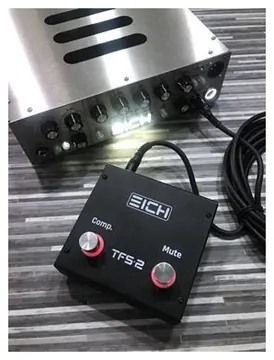 Eich Amps TFS-2
