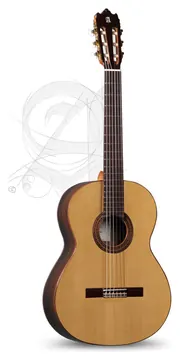 Alhambra Etude Iberia Ziricote + 9738 25mm Housse
