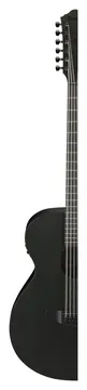 Ibanez AEG1221-BOT 12-Saiter Westerngitarre
