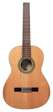 Ortega Traditional 4/4 + custodia morbida Pro