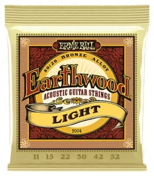 Ernie Ball 2004 Earthwood Bronze