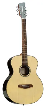 Brunswick BF2000 - Grand Auditorium Acoustic Guitar - Natural