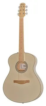Ibanez AAM370M2E-AIB
