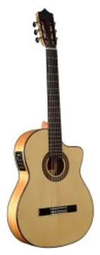 Martinez ES-08S CE FISHMAN PSY-301