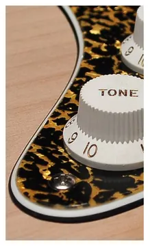 Boston ST-323-RP pickguard