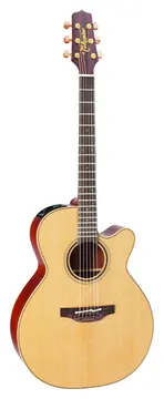 Takamine P3NC Natural