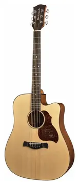Richwood D-20-CE Chitarra acustica dreadnought elettrificata