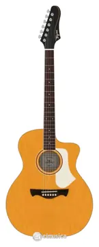 Tagima Rio Negro Eletroacústico Cordas Aço Cor Natural Ambar Satin (NTABS)