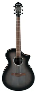 Ibanez AEWC11-TCB