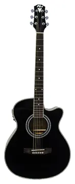 Phoenix Western Black PX-188EQ BK - PHX