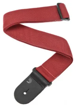 Daddario D´Addario PWS101