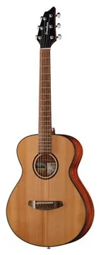 Breedlove Discovery S Companion