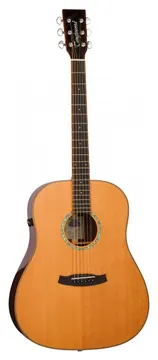 Tanglewood TRS5SE