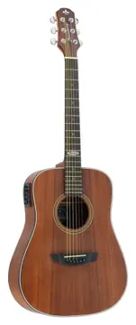 Strinberg SR200 MGS Small Folk