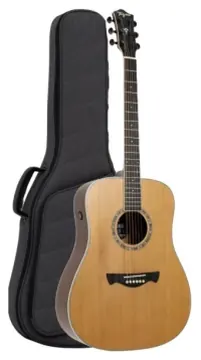 Tagima TLM-100NT Eletroacustico Aço Natural *
