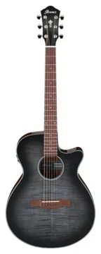 Ibanez AEG70-TCH